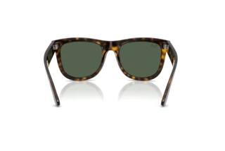 Rear view Ray-Ban WAYFARER REVERSE (RBR0502S - 6790VR)