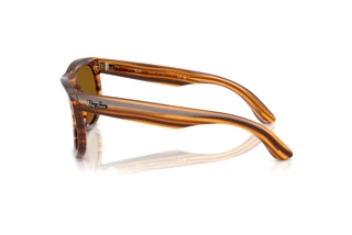 Side view Ray-Ban WAYFARER REVERSE (RBR0502S - 679183)