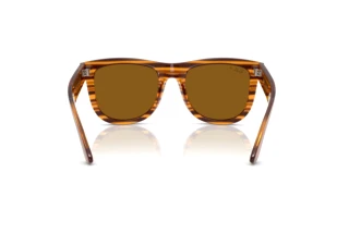 Rear view Ray-Ban WAYFARER REVERSE (RBR0502S - 679183)