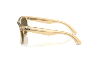 Side view Ray-Ban WAYFARER REVERSE (RBR0502S - 68215A)