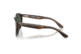Side view Ray-Ban RBR0505S (6790VR)