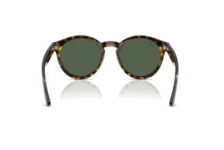 Rear view Ray-Ban RBR0505S (6790VR)