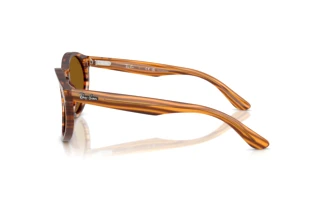 Side view Ray-Ban RBR0505S (679183)