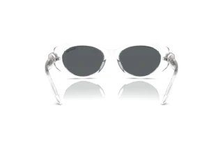 Rear view Swarovski SK6002 (102787)