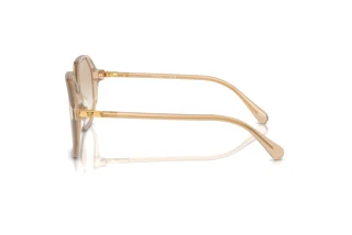 Side view Swarovski SK6003 (103411)