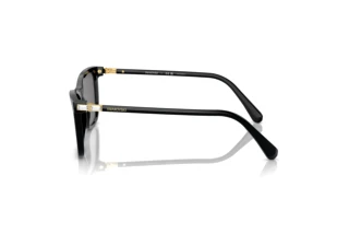 Side view Swarovski SK6004 (100181)