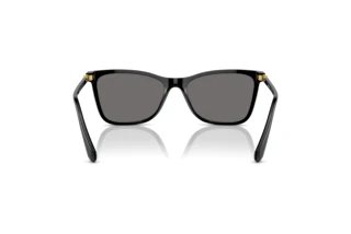 Rear view Swarovski SK6004 (100181)