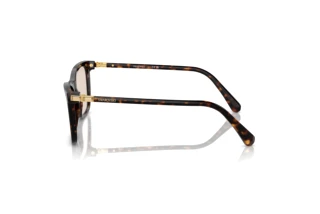 Side view Swarovski SK6004 (1002M4)