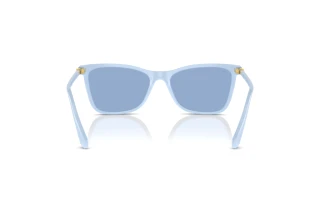 Rear view Swarovski SK6004 (10061U)