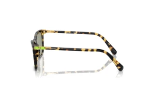 Side view Swarovski SK6004 (1009/2)