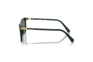 Side view Swarovski SK6004 (102687)