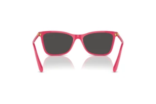 Rear view Swarovski SK6004 (103687)