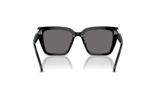 Rear view Swarovski SK6013 (101581)