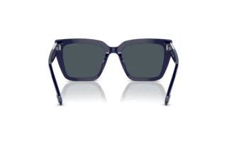Rear view Swarovski SK6013 (101887)
