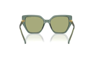 Rear view Swarovski SK6016 (104382)