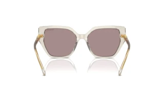 Rear view Swarovski SK6016 (3003LA)