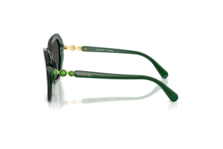 Side view Swarovski SK6017 (104587)