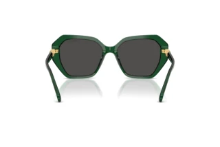 Rear view Swarovski SK6017 (104587)