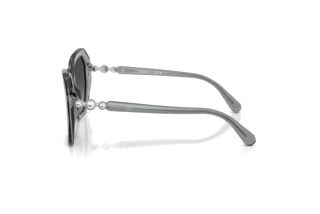 Side view Swarovski SK6017 (106211)