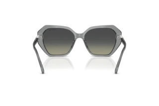 Rear view Swarovski SK6017 (106211)