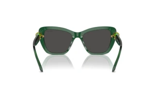 Rear view Swarovski SK6018 (104587)