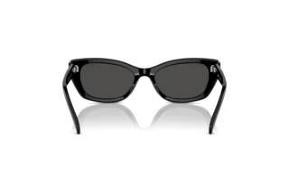Rear view Swarovski SK6019 (100187)