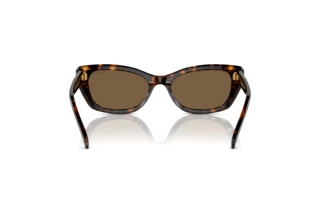 Rear view Swarovski SK6019 (100273)
