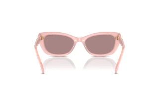 Rear view Swarovski SK6019 (10317N)