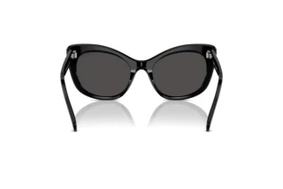 Rear view Swarovski SK6020 (100187)