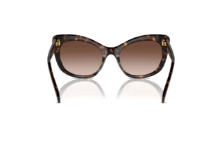 Rear view Swarovski SK6020 (100213)