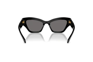Rear view Swarovski SK6021 (100181)