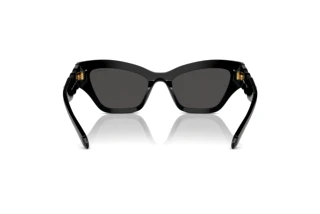 Rear view Swarovski SK6021 (100187)