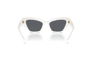 Rear view Swarovski SK6021 (105087)