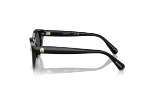 Side view Swarovski SK6025 (100187)
