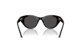 Rear view Swarovski SK6025 (100187)