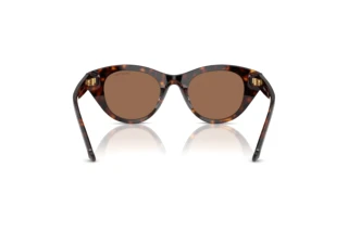 Rear view Swarovski SK6025 (100273)