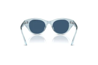 Rear view Swarovski SK6025 (106555)