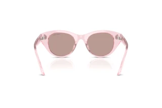 Rear view Swarovski SK6025 (30017N)