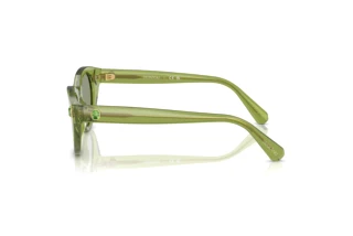 Side view Swarovski SK6025 (3002/2)