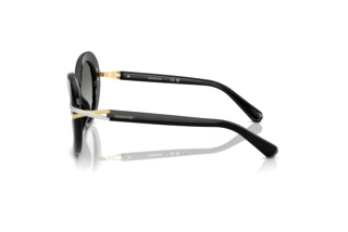 Side view Swarovski SK6026 (100111)
