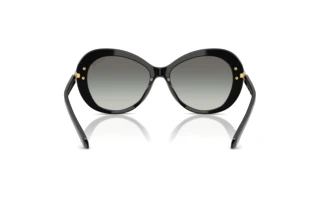 Rear view Swarovski SK6026 (100111)
