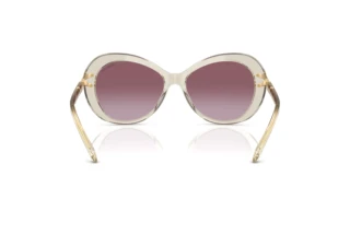 Rear view Swarovski SK6026 (30038H)