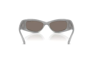 Rear view Swarovski SK6027 (10596G)