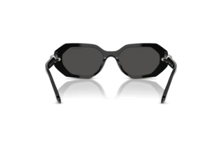 Rear view Swarovski SK6028 (100187)