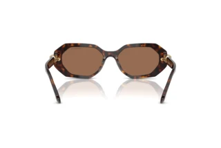 Rear view Swarovski SK6028 (100273)
