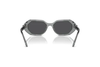 Rear view Swarovski SK6028 (10626G)