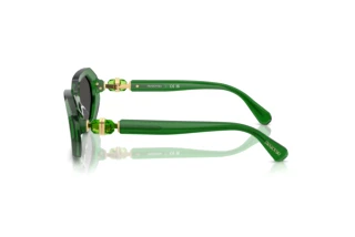 Side view Swarovski SK6028 (106487)
