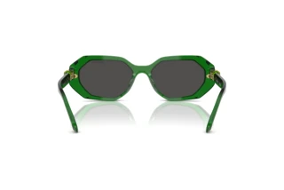 Rear view Swarovski SK6028 (106487)