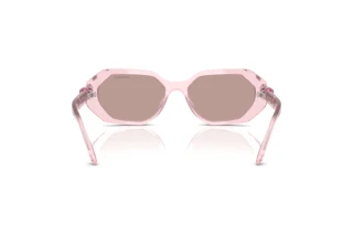 Rear view Swarovski SK6028 (30017N)