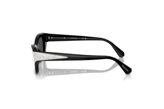 Side view Swarovski SK6029 (100187)